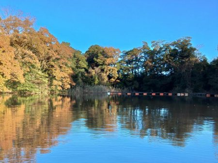 大安トラウトレイク釣果
